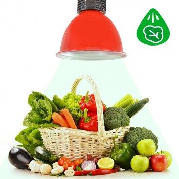 Cloche LED 30W spécial légumes verts
