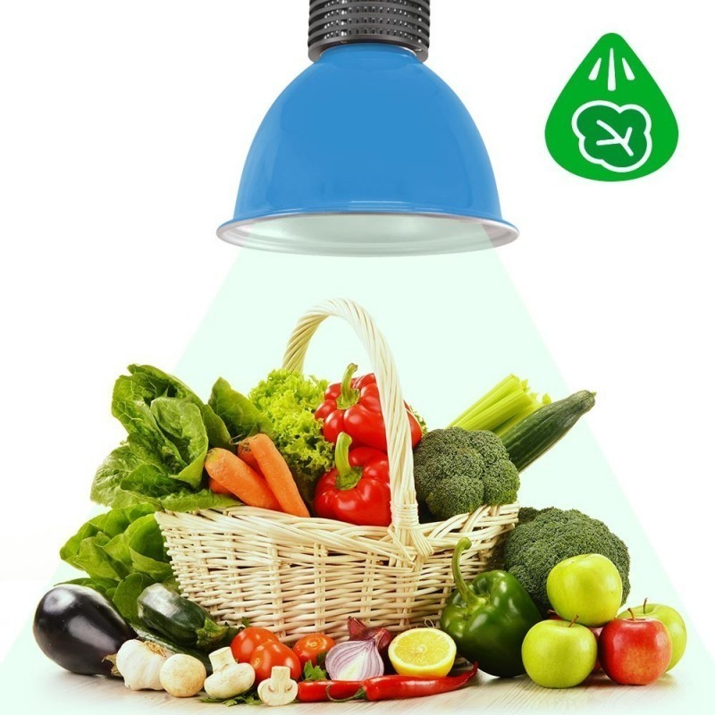 Cloche suspendue LED spécial légumes verts