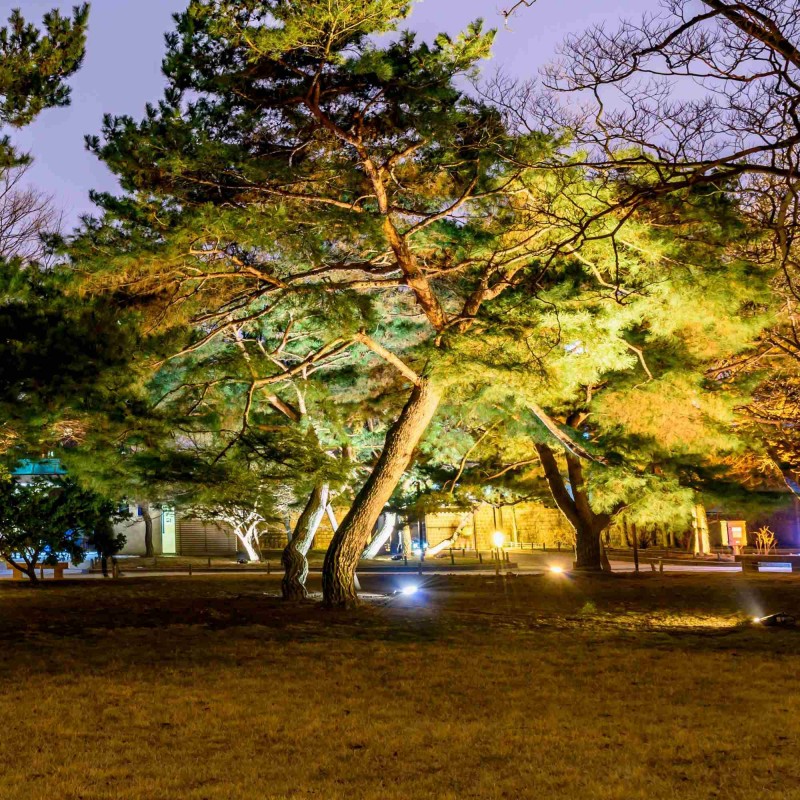 Projecteur LED extérieur 35W CCT - Série "PRO" - 110lm/W - IP66 | spot led exterieur Projecteur LED extérieur 35W CCT - Série "PRO" - 110lm/W - IP66 | spot led exterieur