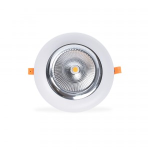 Spot LED spécial pour fruits et légumes - 44W - Driver Philips - Découpe Ø210 mm