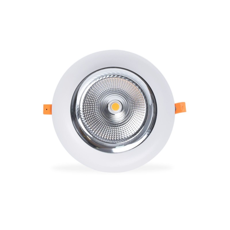 Spot LED spécial pour fruits et légumes - 44W - Driver Philips - Découpe Ø210 mm