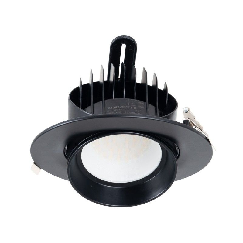 Spot LED circulaire orientable 38W - CCT - Noir - 120° Driver LIFUD