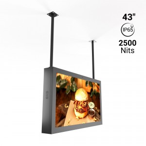 Écran LCD Full HD 43" - Extérieur - Montage au plafond - Android - IP65