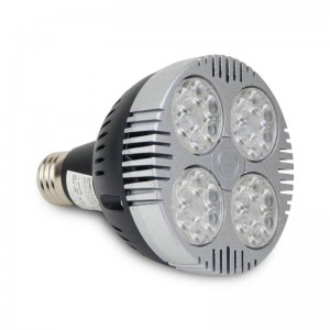 Ampoule LED E27 PAR30 20W Blanc Chaud - Deliled