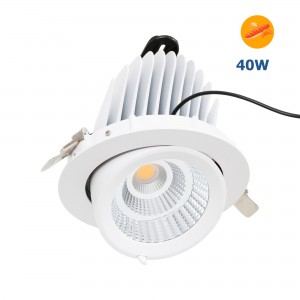 Downlight LED inclinable...