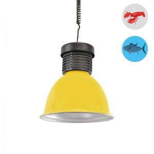 Cloche LED 30W spécial...