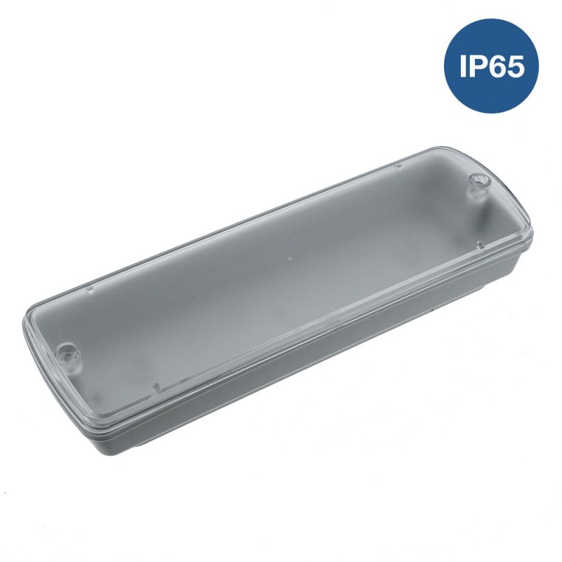 Boîtier étanche pour luminaire de secours IP65