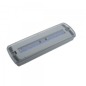 Boîtier étanche pour luminaire de secours IP65