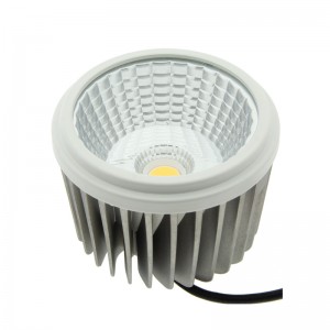 Ampoule LED AR111 30W Driver Externe