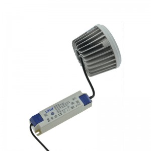 Ampoule LED AR111 30W Driver Externe