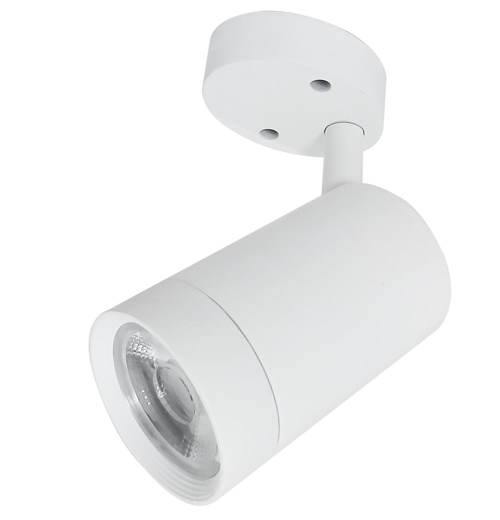 spot led orientable blanc