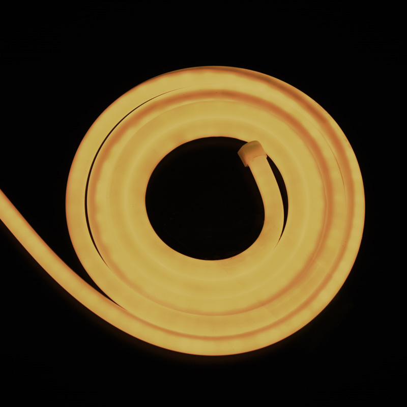 néon flexible