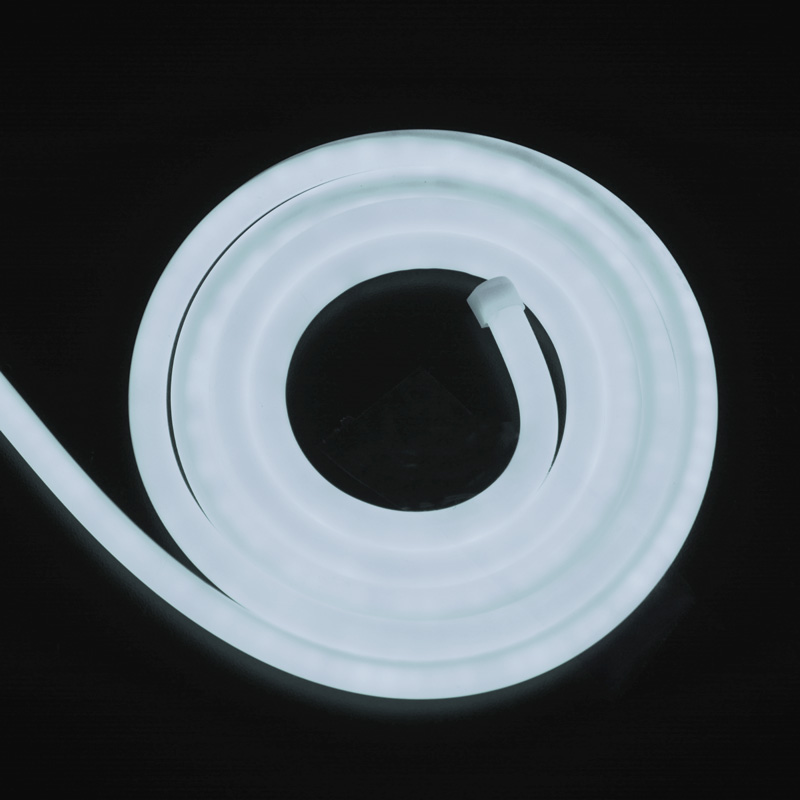 néon flexible LED