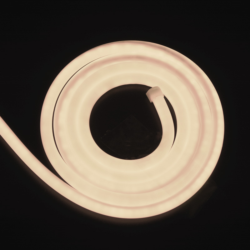 néon LED flexible