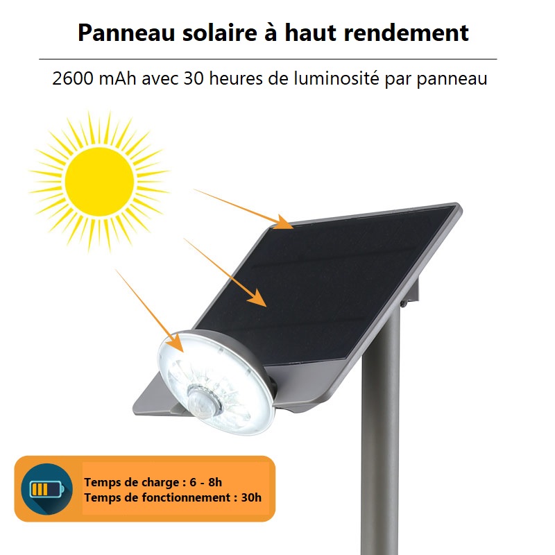 Lampadaire solaire LED Balma 60Lm 3000K IP44 - CristalRecord