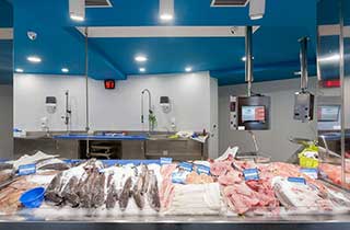éclairage poissonnerie spot led
