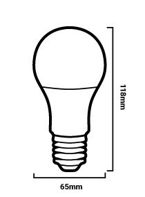 ampoule LED A65 E27