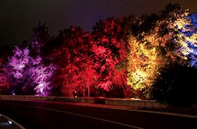 éclairage extérieur projecteur LED rgb