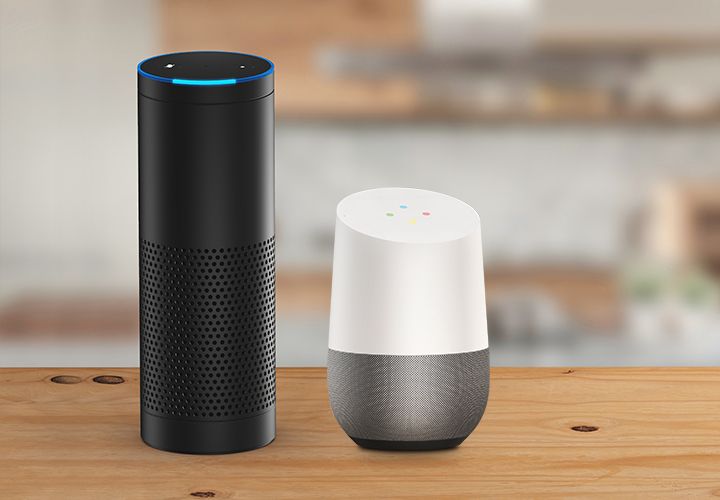 alexa google home